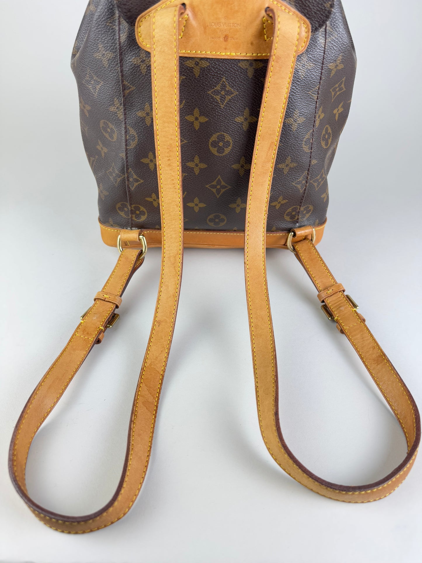 Louis Vuitton Montsouris MM