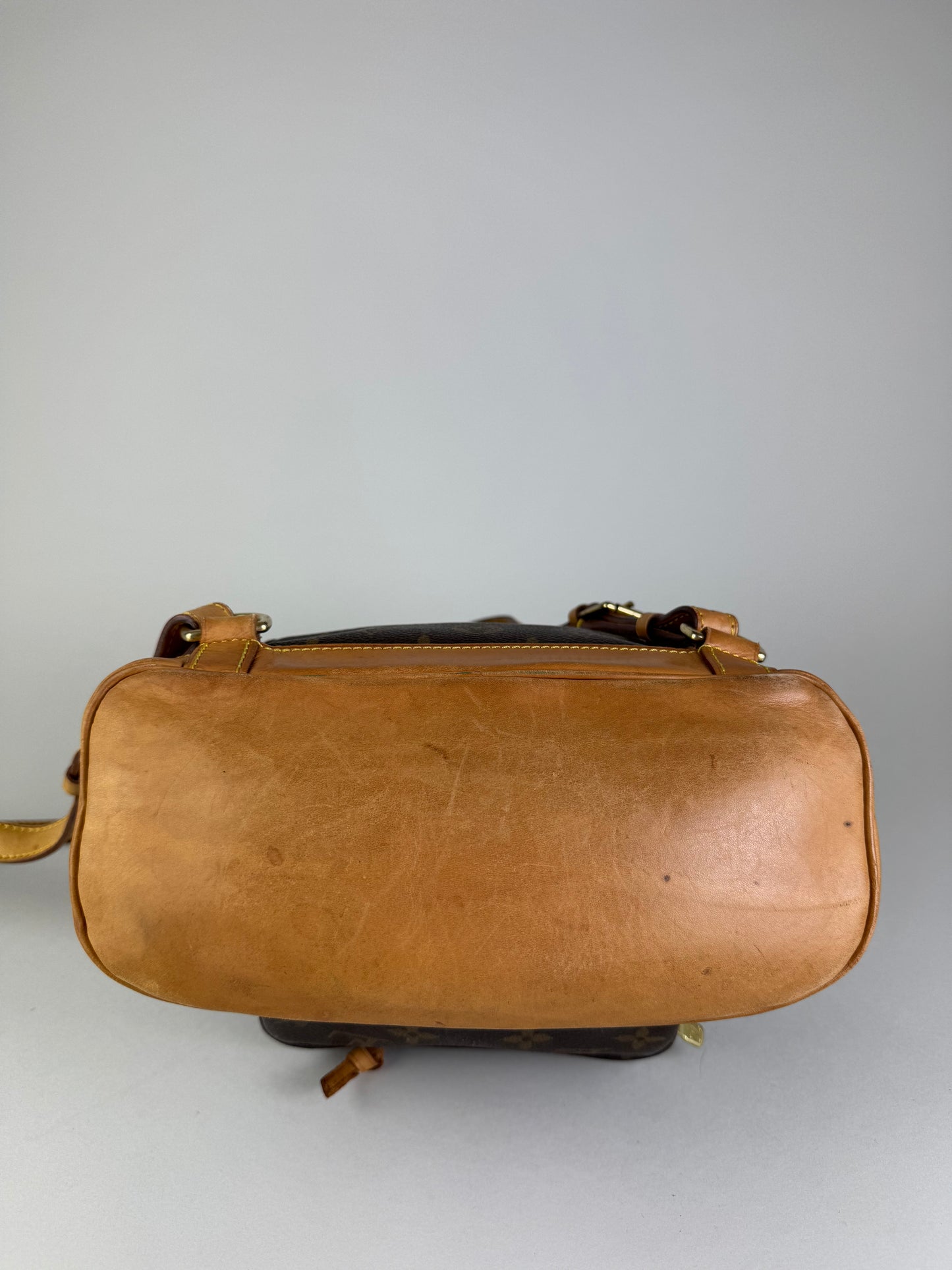 Louis Vuitton Montsouris MM