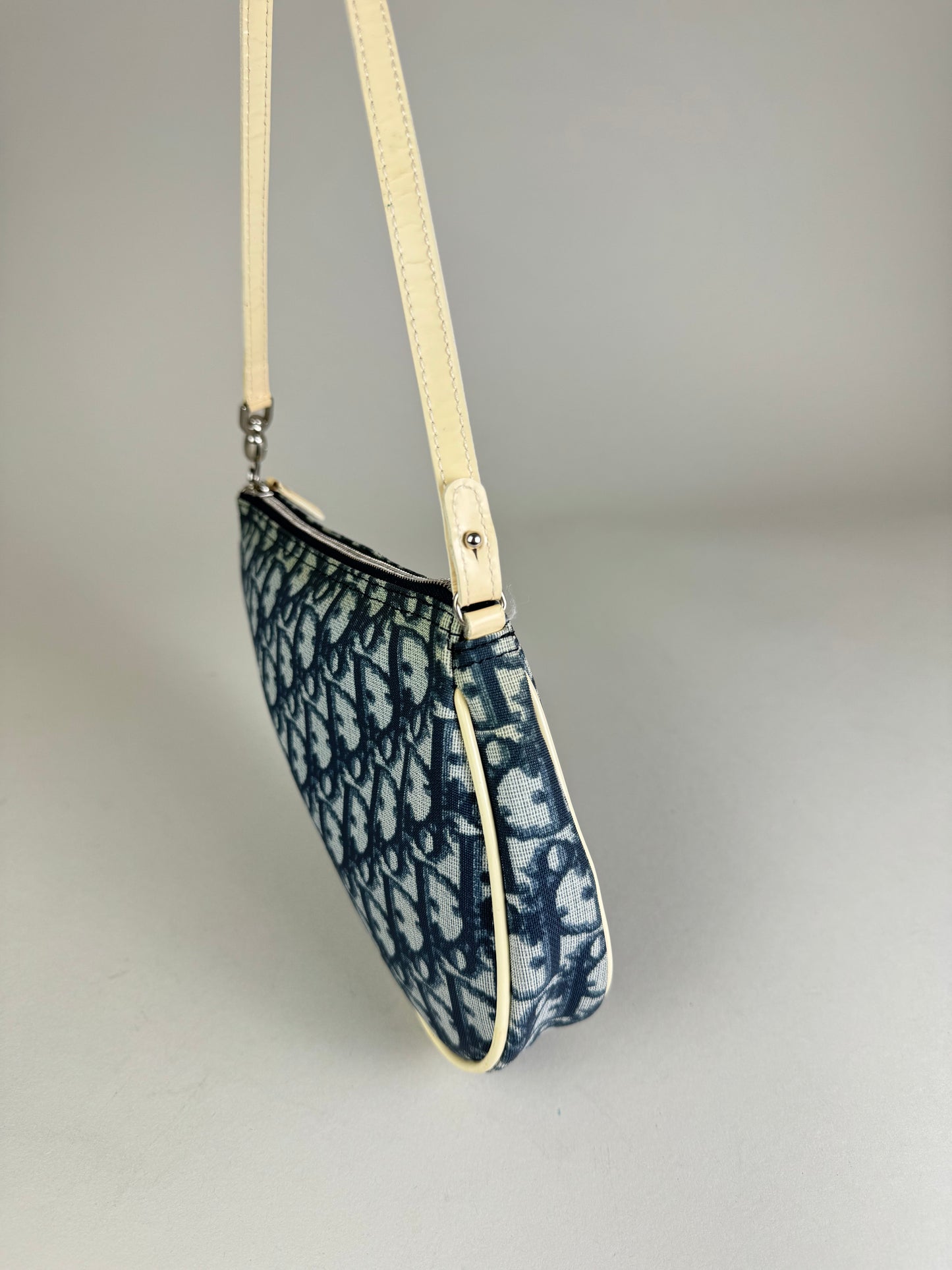 Dior Saddle Trotter