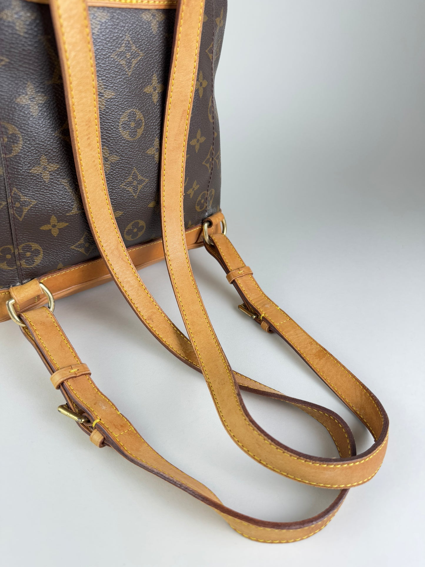 Louis Vuitton Montsouris MM