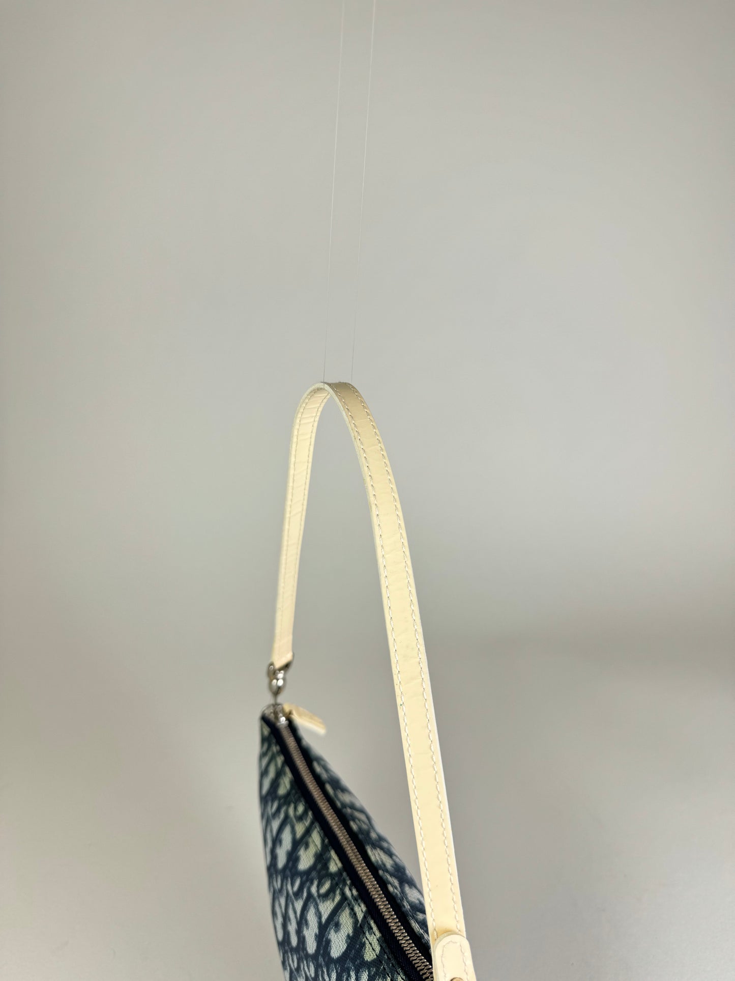 Dior Saddle Trotter