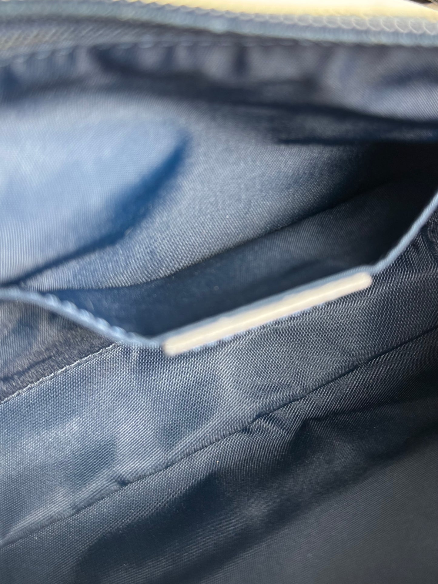Dior Trotter Pouch