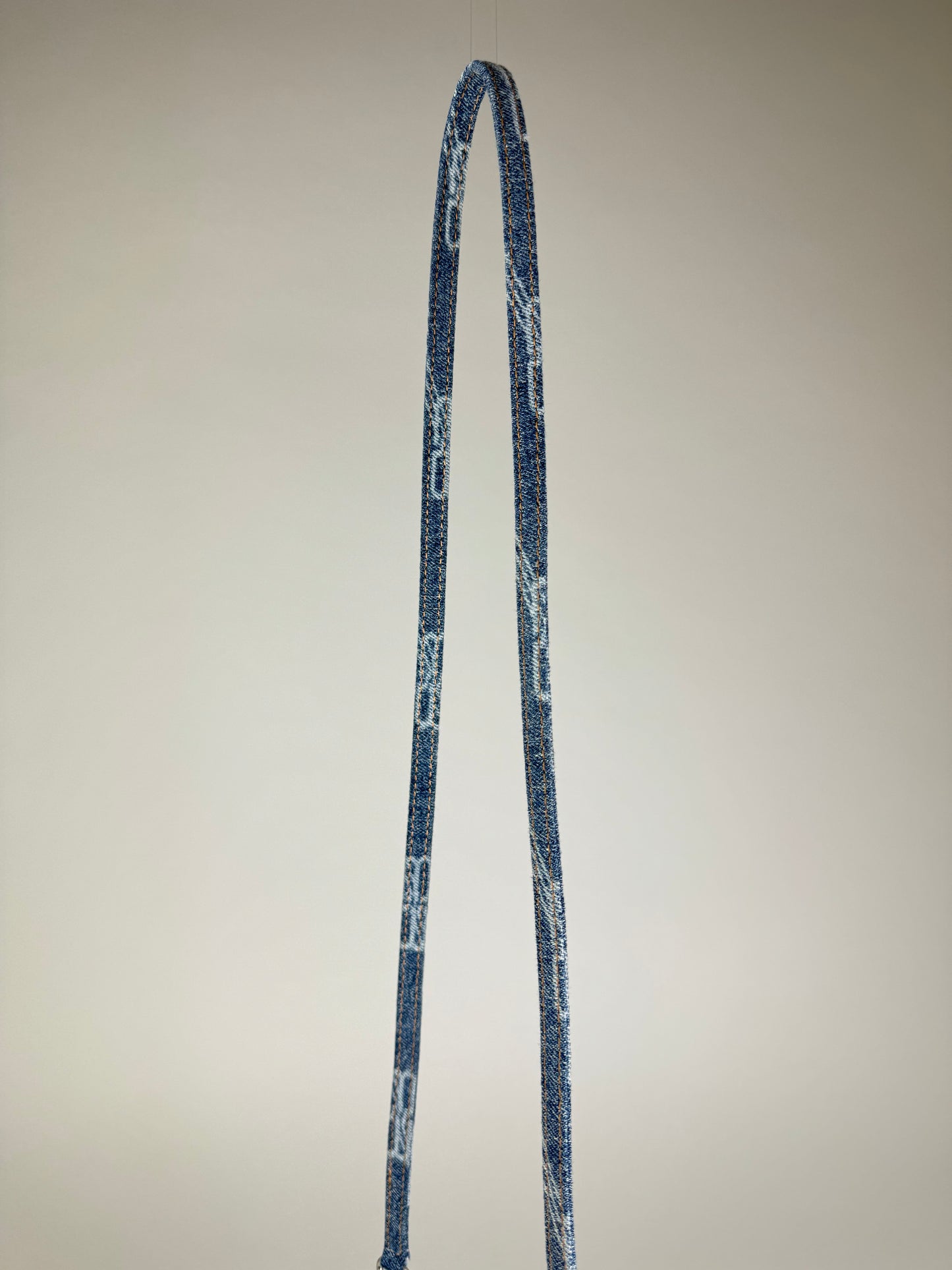 Balenciaga Le Cagole Mini