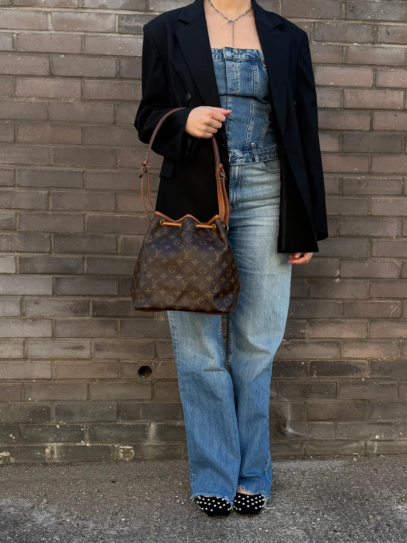 Louis Vuitton Petit Noe - worn