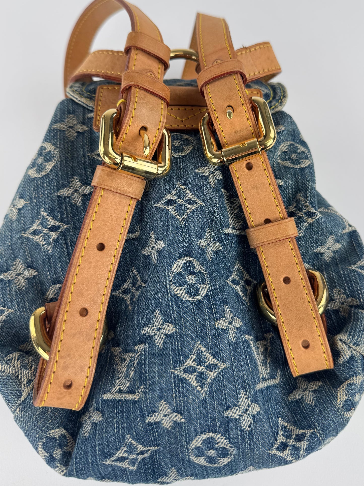 Louis Vuitton Backpack Sac a Dos PM
