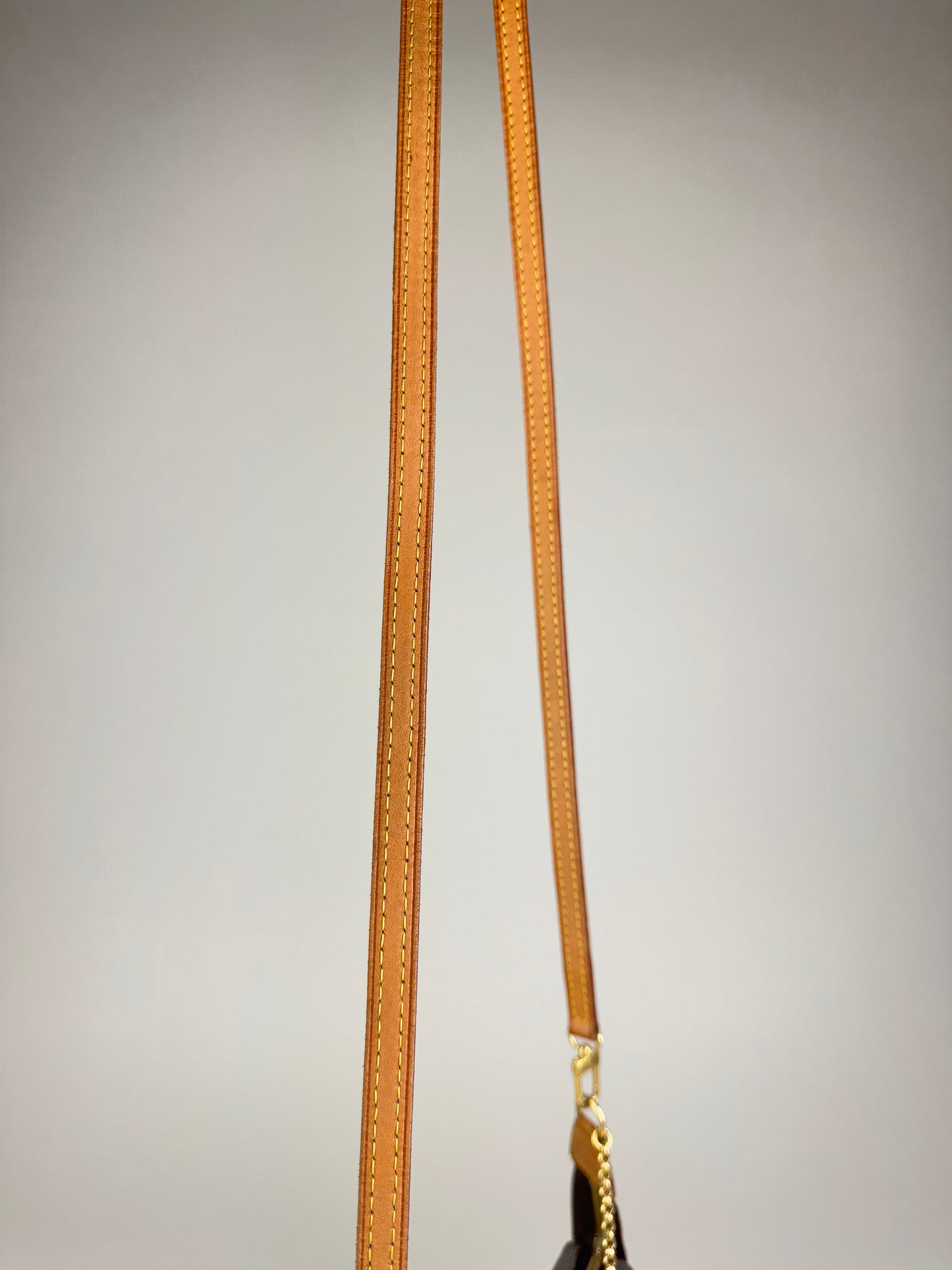 Louis Vuitton Eva 2way