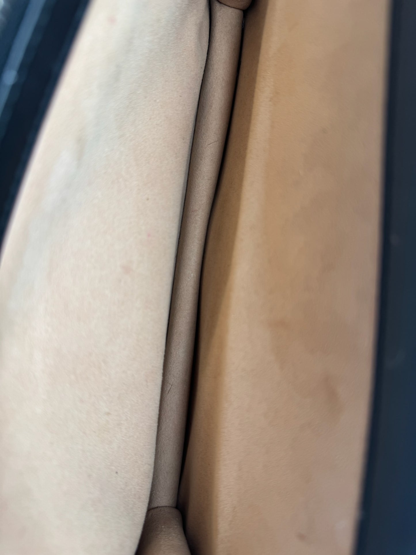 Gucci Dionysus Large