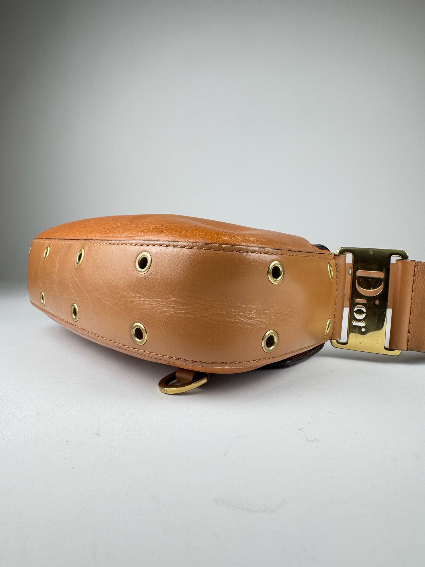 Dior Street Chic Columbus Bag