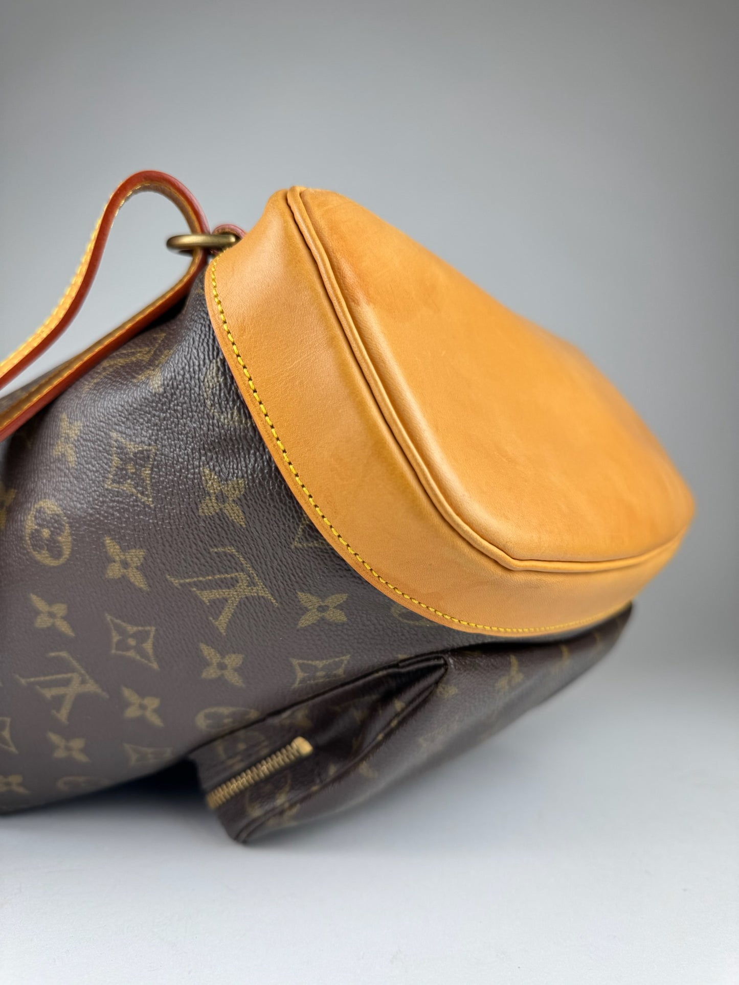 Louis Vuitton Montsouris GM