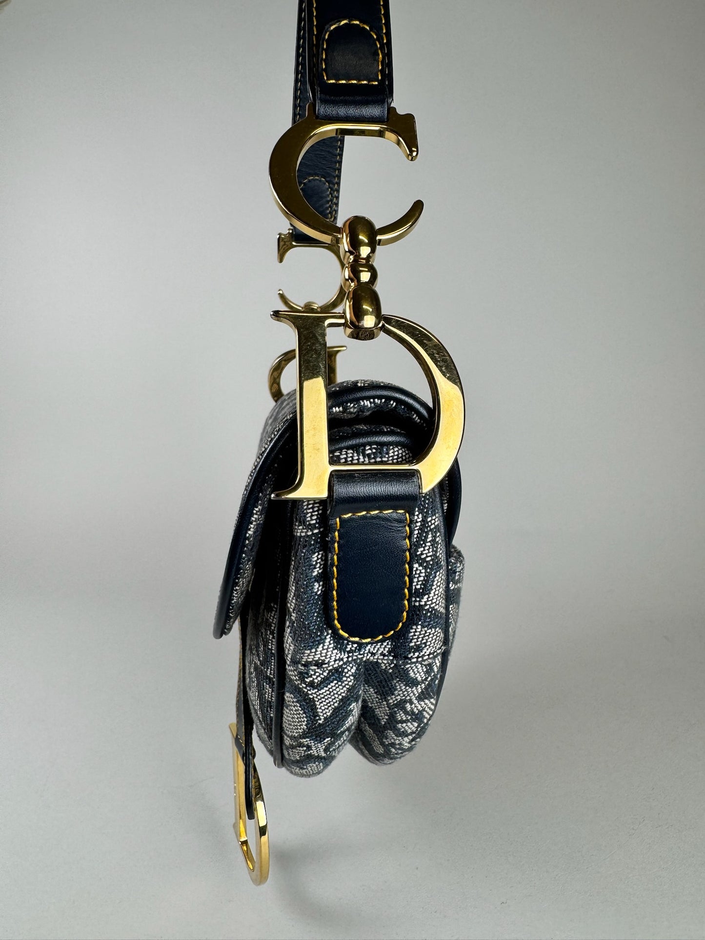 Dior Saddle