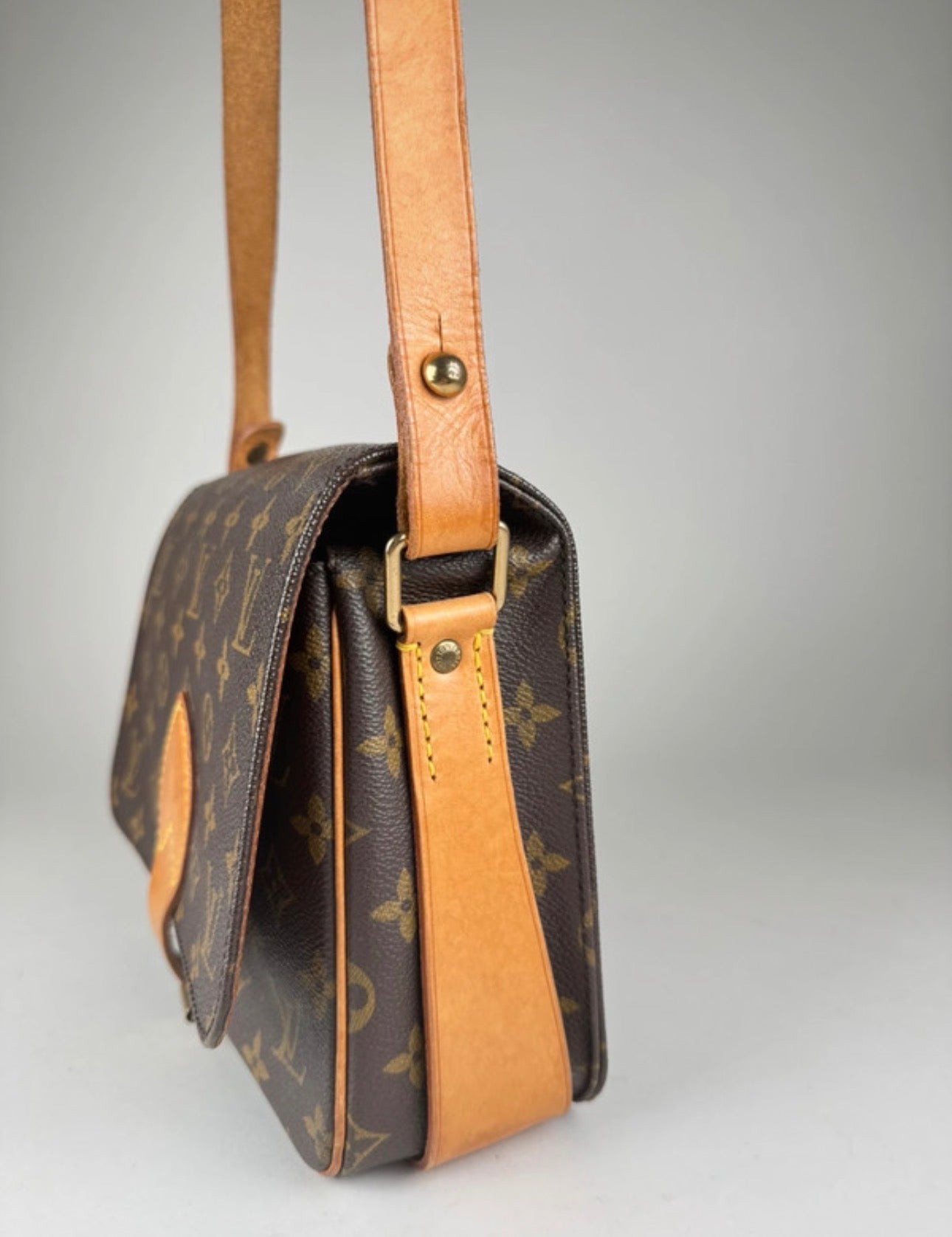 Louis Vuitton Caurtouchiere MM