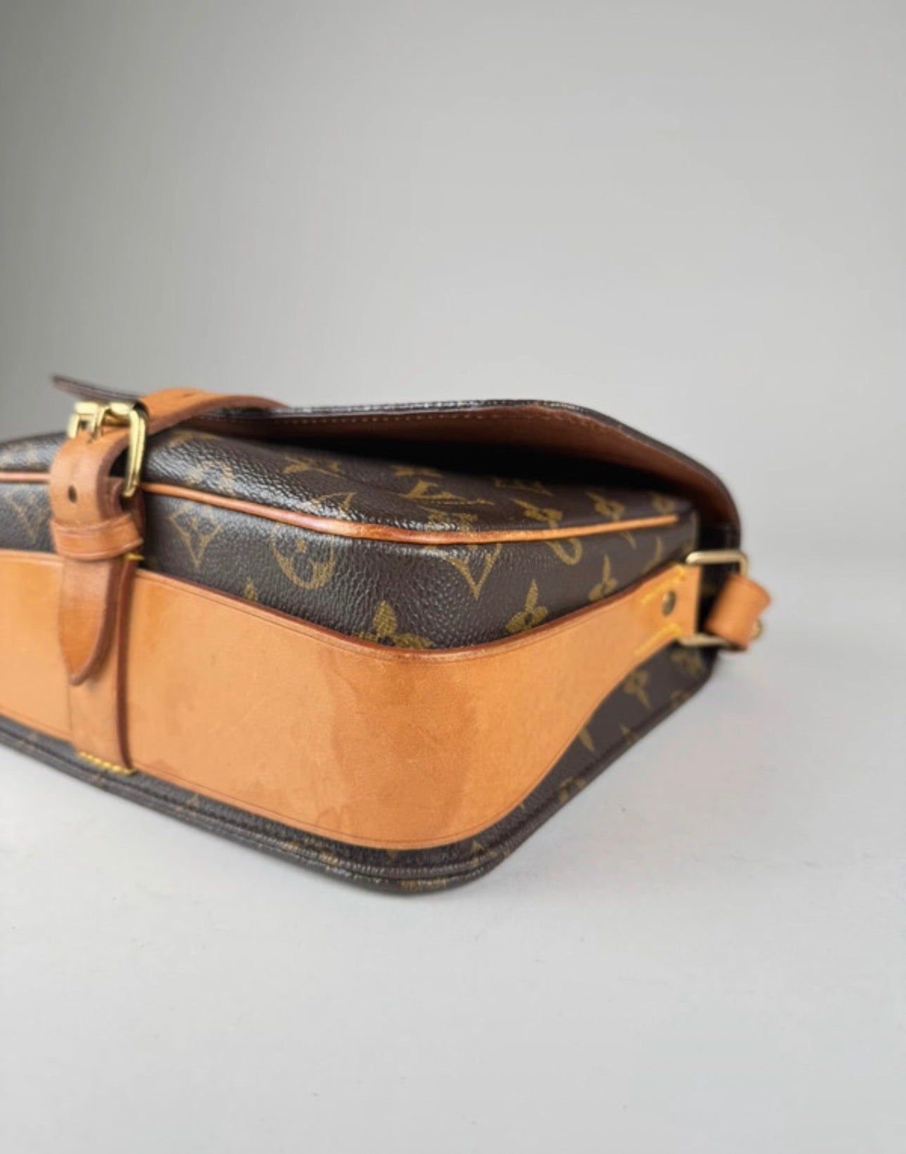 Louis Vuitton Caurtouchiere MM