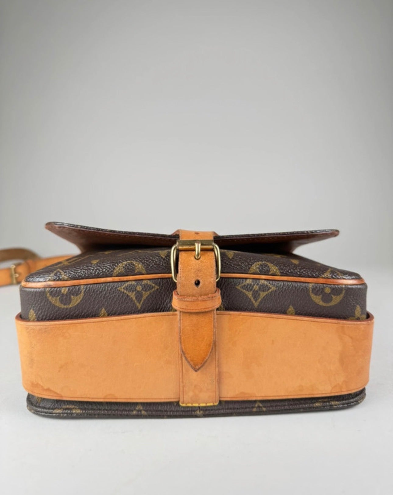 Louis Vuitton Caurtouchiere MM