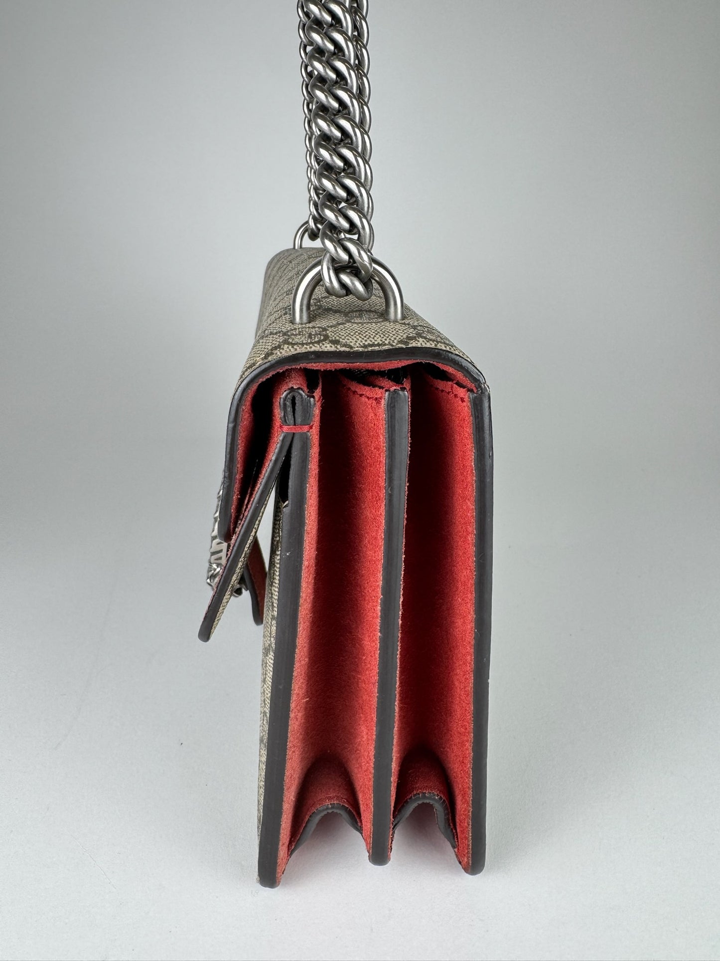 Gucci Dionysus Small