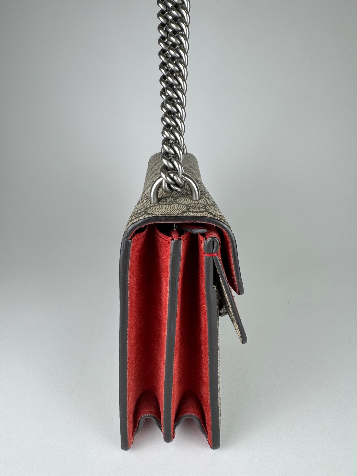 Gucci Dionysus Small