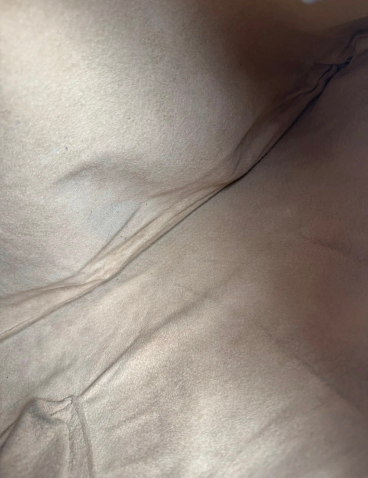 Bottega Veneta Hobo - respace.studio