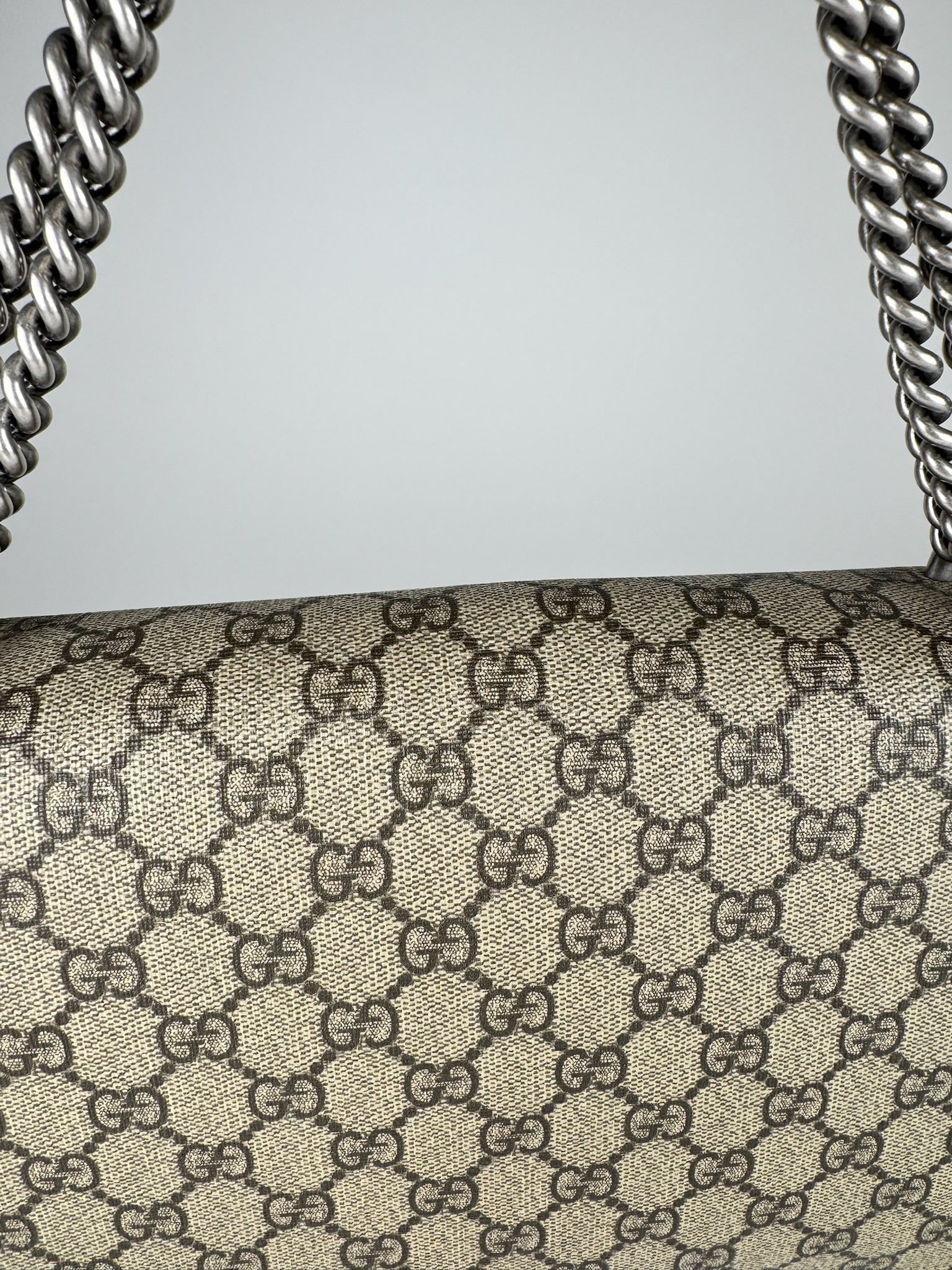 Gucci Dionysus Small - respace.studio